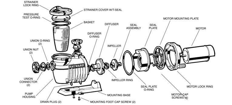 Hayward Norhtstar Schematic