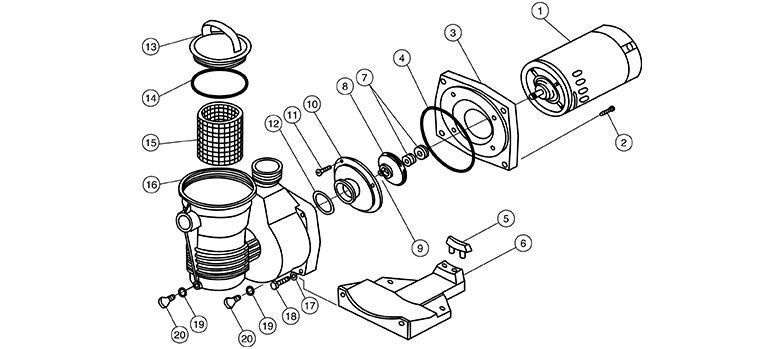 Pentair Pinnacle Pump Schematic