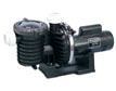 Sta-Rite Pool Pumps