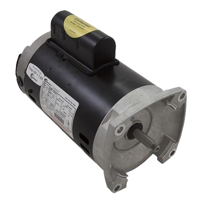 Pump Motors