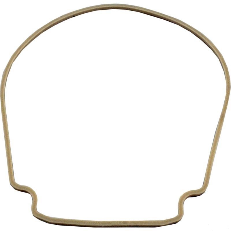 Pentair 357102 WhisperFlo and IntelliFlo Seal Plate Gasket 