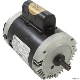 pool pump motors for sale