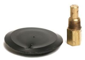 Raypak Rear Drain Plug And Cover 005264F