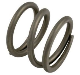 Pentair 271161 Valve Spring