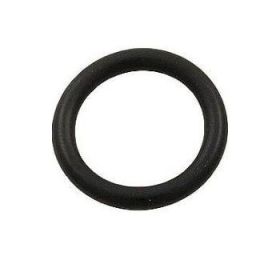 Pentair 272511 Diverter Shaft O-Ring