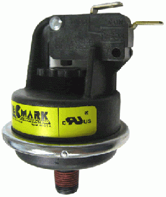 Pentair 42001-0060S Pressure Switch