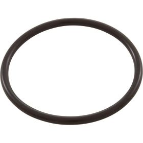 Aqua-Flo FMHP Union O-Ring 92200140
