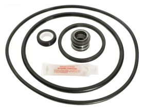 Pinnacle Pump Repair Kit - GO-KIt 24