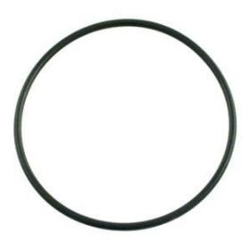 Pentair 272541 Tagelus Valve Body O-Ring