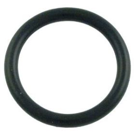 Pentair 273090 Valve O-Ring