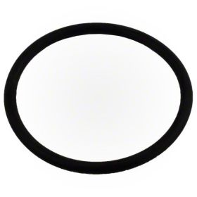 Pentair 350336 Diffuser O-Ring for WhisperFlo XF