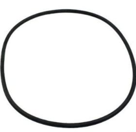 Pentair 351446 Seal Plate O-Ring for WhisperFlo XF