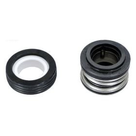 Pentair 354545S Shaft Seals 