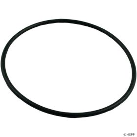 Pentair 356780 EQ Series Pump Seal Plate O-Ring