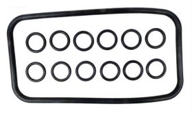 Pentair 77707-0120 Heater Manifold O-Ring Kit 