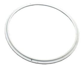 Pentair AquaLumin Pool Light Lens Seal 78880200