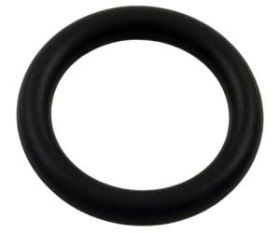 Pentair AquaLuminator Pool Light O-Ring 79116900