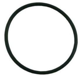 Pentair Challenger Strainer Pot Flange O-Ring 355330