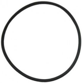 Pentair EQ Commercial Pump Lid Gasket 350166