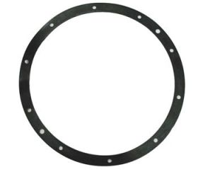 Pentair Gasket for 10 Hole Stainless Steel Light Niche 79200400 