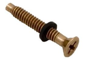 Pentair Light Brass Pilot Screw with Washer 79104800