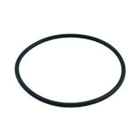 Pentair PacFab Dynamo Pump Lid O-Ring 354533