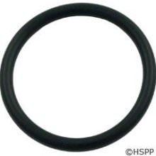 Hayward Large Piston O-Ring SPX0410Z2