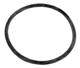 Sta-Rite 35505-1437 ABG Pump Lid O-Ring