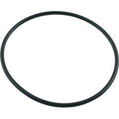 Sta-Rite 35505-1438 ABG Pump Seal Plate O-Ring