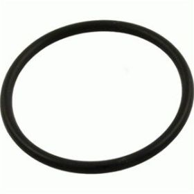 Sta-Rite Max-E-Glas / Dura-Glas Diffuser O-Ring U9-226 