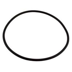 Sta-Rite Max-E-Glas II / Max-E-Pro / Dura-Glas Seal Plate O-Ring U9-228A