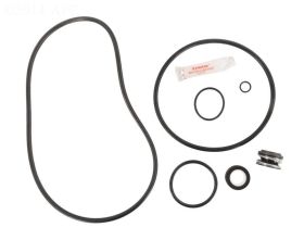 Sta-Rite Max-E-Pro Pump Repair Kit Go-Kit 79