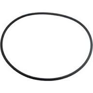 Waterway 805-0460 Clearwater II Filter Lid O-Ring (2006-Present)