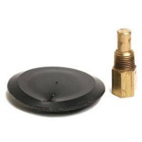 Raypak Rp2100 Pool Heater Drain Plug 006721F for sale online 