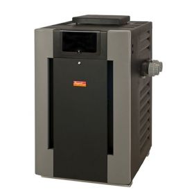 P R366a Ep C Raypak 333k Btu Digital Propane Pool Heaters On Sale At Yourpoolhq