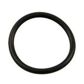 hayward filter lock ring