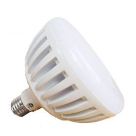 ColorSplash LPL-P2-RGB-120 LED Bulb