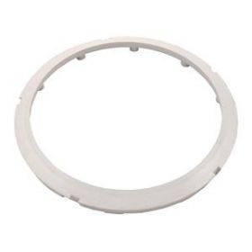 Pentair AquaLumin Pool Light White Face Ring 78880400