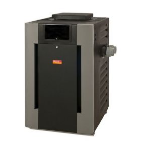 Raypak 206k Btu Millivolt Natural Gas Pool Heaters On Sale At Yourpoolhq