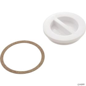 Hayward SP1022B Plug