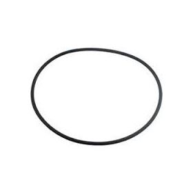 Waterway 805-0460 Clearwater II Filter Lid O-Ring (2006-Present)